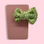Τσιμπιδακι “bow”