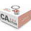 Μπρελόκ Cactus rose gold