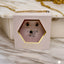 Gift box «a special gift for you» σετ κοσμημάτων με ζιργκον